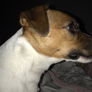 Meet your Posher, Jameson